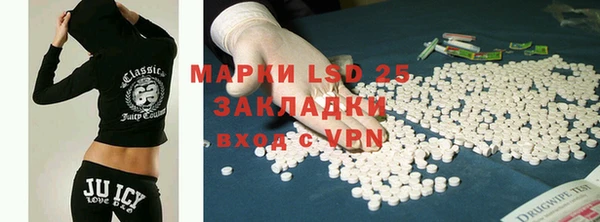 ГАЛЛЮЦИНОГЕННЫЕ ГРИБЫ Тавда
