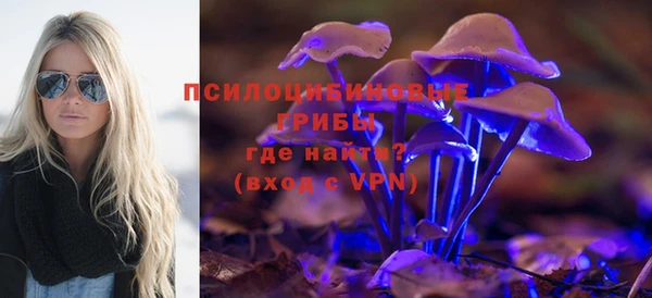 дмт Гусиноозёрск