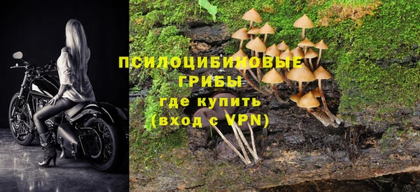 ГАЛЛЮЦИНОГЕННЫЕ ГРИБЫ Тавда