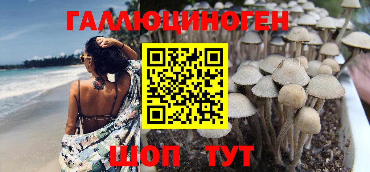 Галлюциногенные грибы MAGIC MUSHROOMS Хасавюрт